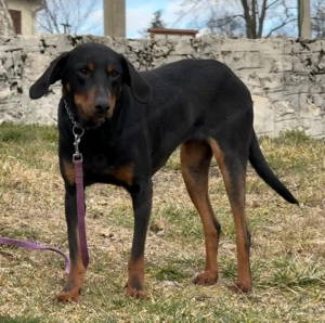 Selly sucht aktive Menschen Bild 2