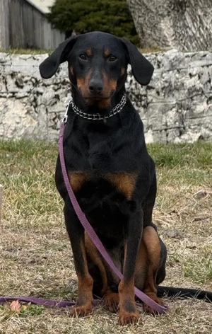 Selly sucht aktive Menschen Bild 3