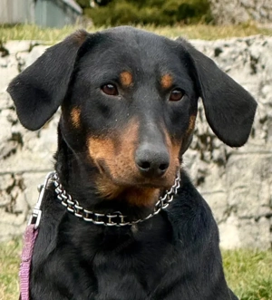 Selly sucht aktive Menschen Bild 5