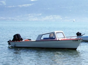 Motorboot (Bade- bzw. Fischergondel) mit PONGRATZ Hänger  Bild 3