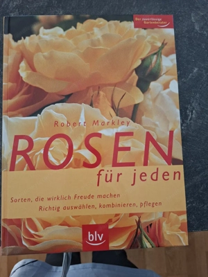 Rosen Buch Bild 2