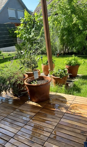 WG-Zimmer in moderner Neubauwohnung  Bild 5