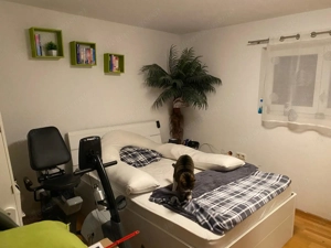 Zweifamilienhaus mit  beheiztem Salzwasserpool Bild 8