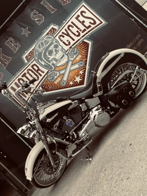 Haley Davidson Softail Chicano "El Pablo" Bild 3