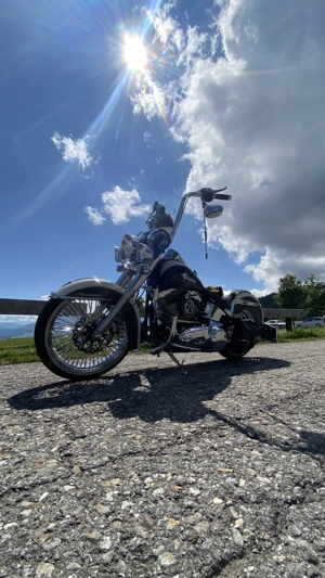 Haley Davidson Softail Chicano "El Pablo" Bild 9