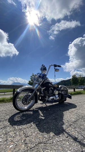 Haley Davidson Softail Chicano "El Pablo" Bild 8