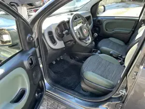Fiat Panda Bild 10