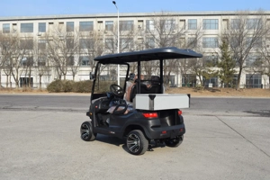 Golfcarts mit Strassenzulassung auf Vorbestellung Bild 6