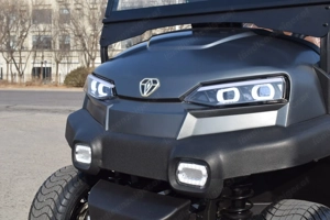 Golfcarts mit Strassenzulassung auf Vorbestellung Bild 9