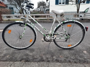 Damen Fahrrad