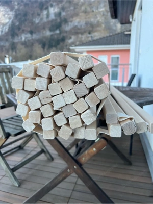 rollrattenrost Bild 2