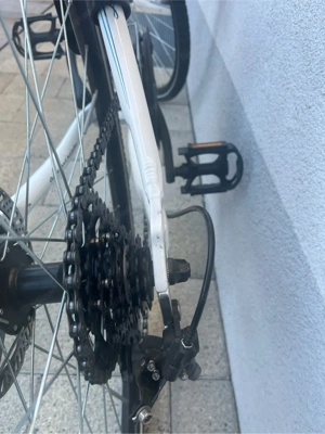 Fahrrad für Damen o. Mädchen Bild 2
