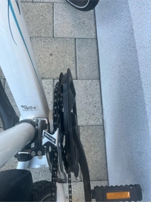 Fahrrad für Damen o. Mädchen Bild 3