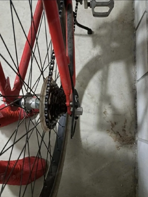 24zoll custom bike Bild 3