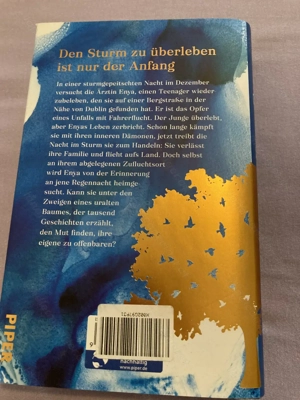 Verkaufe Buch "Dem Sturm entgegen" von Cecila Ahern  Bild 2