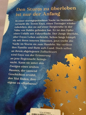 Verkaufe Buch "Dem Sturm entgegen" von Cecila Ahern  Bild 3