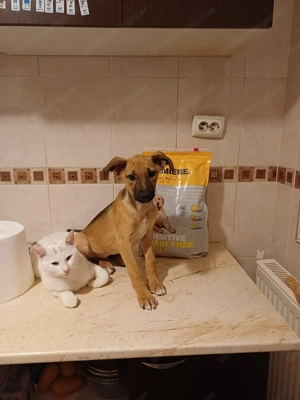 Celine - eine kleine Überlebenskämpferin auf der Suche nach ihrer Familie Bild 2