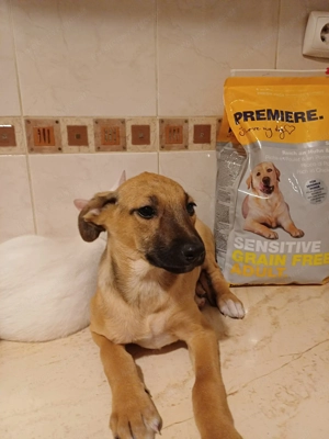 Celine - eine kleine Überlebenskämpferin auf der Suche nach ihrer Familie Bild 9