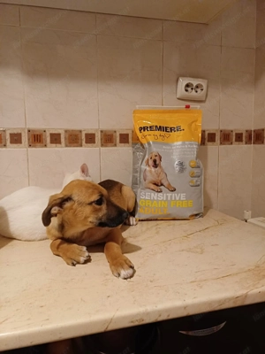 Celine - eine kleine Überlebenskämpferin auf der Suche nach ihrer Familie Bild 6