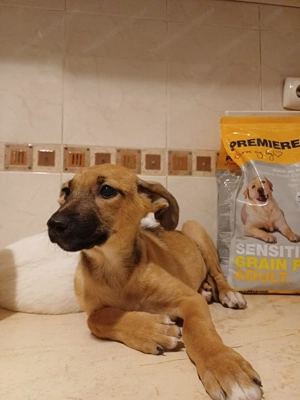 Celine - eine kleine Überlebenskämpferin auf der Suche nach ihrer Familie Bild 7