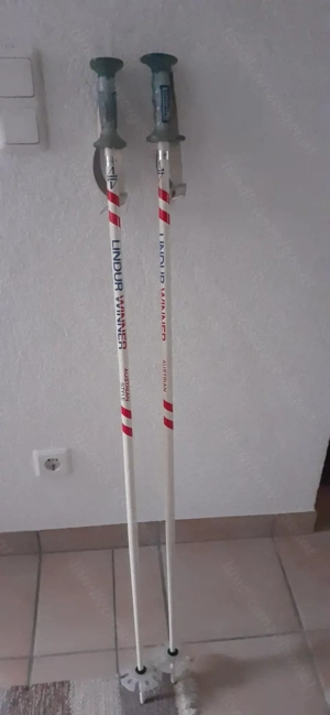 Herren Schistöcke 120 cm