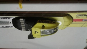 Fischer Race Carver Bild 3