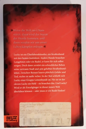 Buch: Survivor Dogs  -  Die verlassene Stadt  Band 1 Bild 2