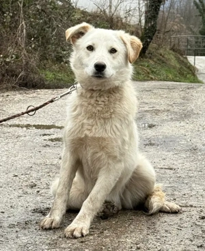 Clara freut sich auf IHRE Familie Bild 2