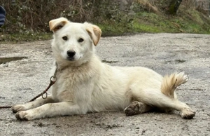 Clara freut sich auf IHRE Familie Bild 4