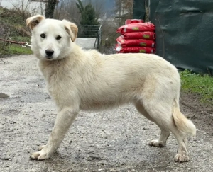 Clara freut sich auf IHRE Familie Bild 5