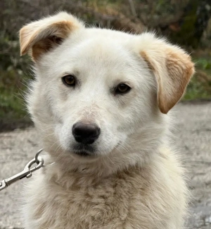 Clara freut sich auf IHRE Familie Bild 3