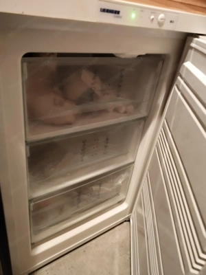 Gefrierschrank mit 3 Schubladen Bild 2