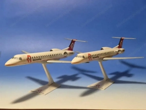 Seltene Rheintalflug Modellflugzeuge Embraer RJ145   Sammlerstücke! Bild 5