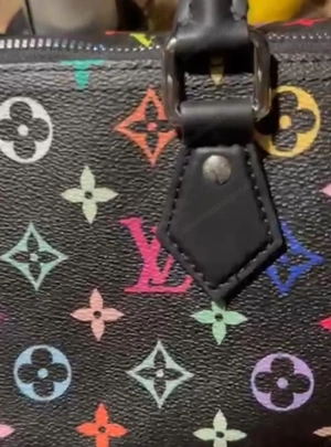 Neue Louis Vuitton Multicolor Speedy Muracami mit Rechnung  Bild 5