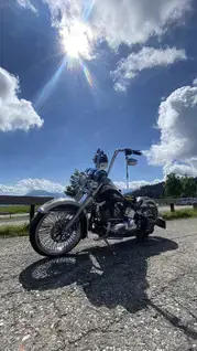 Haley Davidson Softail Chicano "El Pablo" Bild 10