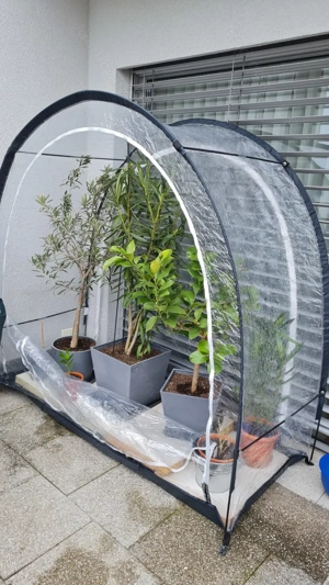 Biogreen Überwinterungszelt Bild 2