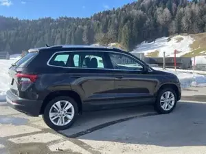 Skoda Karoq Bild 4