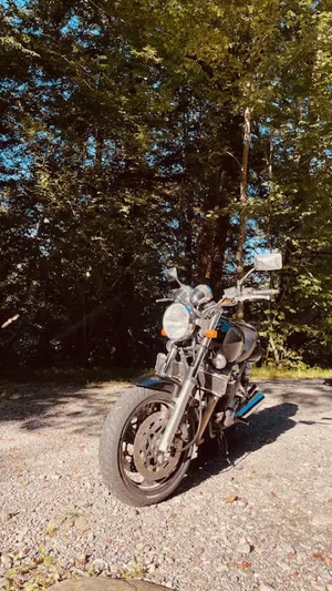 Yamaha XJR1300  Bild 5