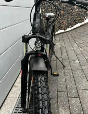 Ebike Cube Access Hybrid Pro  Bild 2