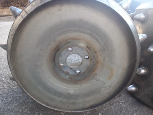 Stachelwalzen Bild 2