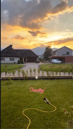 2 Zimmer Wohnung mit Garten in Feldkirch Bild 9