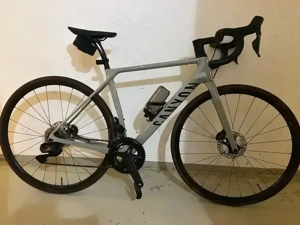 Canyon Endurace CF SL  Di2 Rennrad