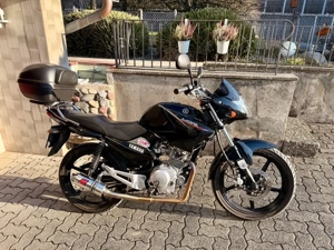 Yamaha YBR 125ccm  Bild 2