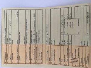 Moped Laverda LSM50  Bild 3