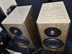 Dynaudio Emit M10 Schwarz Bild 5