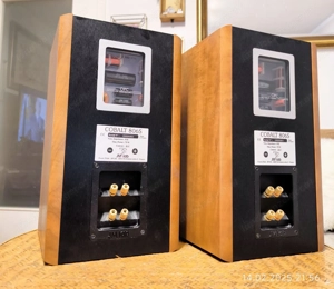 Focal jm lab cobalt 806 s Bild 6