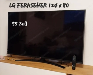 LG Fernseher 55 Zoll
