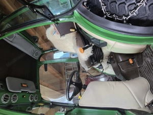 Traktor John Deere zu verkaufen Bild 2