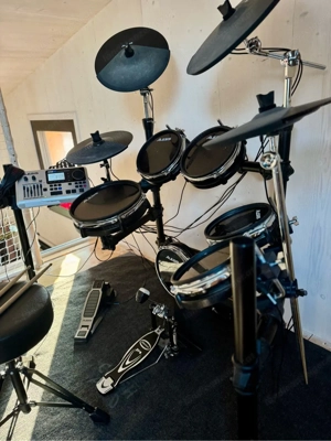 Alesis DM10 E-Drum Set   Mesh Pads, Pro Pedal, Pearl Teppich Bild 2