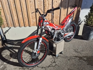 Beta Evo 300ccm Trial bj.2019 Bild 2